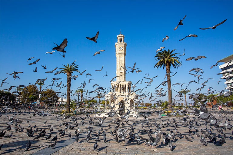 Pegasus İzmir şubesi telefon numarası