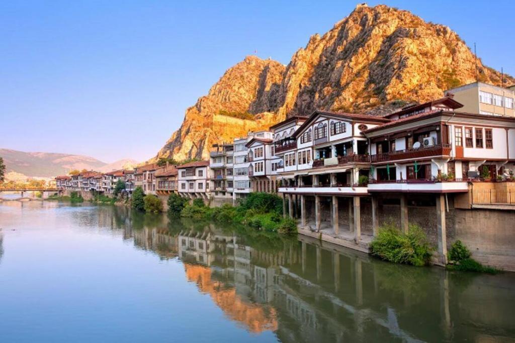 Amasya Peagsus Şubesi İletişim