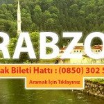 trabzon pegasus telefon