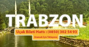 trabzon pegasus telefon